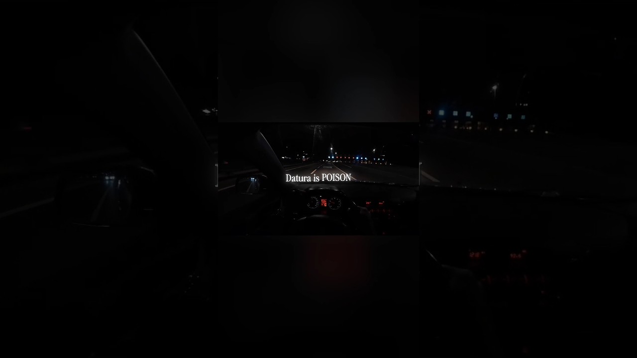 Dark and Hopeless Hell: An Experience with Datura.