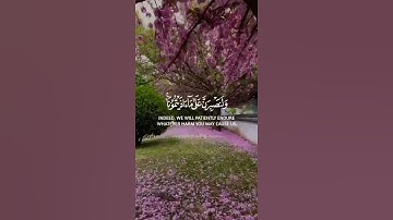 القارئ هزاع البلوشي - سورة إبراهيم  قرآن كريم حالات واتس اب 💛