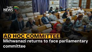 Ad Hoc Committee | Mkhwanazi returns to face parliamentary committee