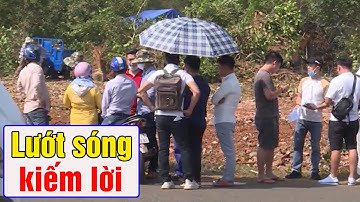 Lướt sóng KIẾM LỜI NHANH đất nền Hòa lạc nhưng Nhà đầu tư nhận CÁI KẾT ĐẮNG LÒNG