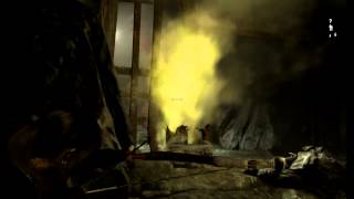 Tomb Raider Walkthrough - Part 24 - More caves @joemiknor