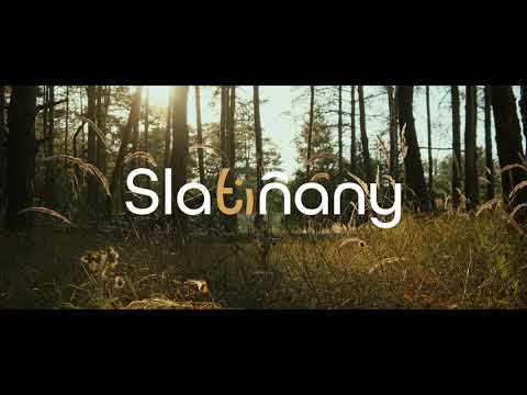 Slatiňany: The City of Horses Where History Lives Through Hoofbeats