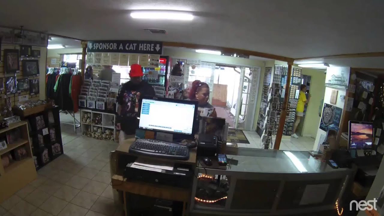 leopard print Tour Time Gift Shop Nov 2015