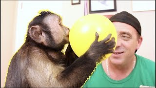 Monkey Birthday Mail Vlog!