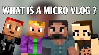 What is a Micro Vlog?