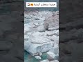 #جزيرة_سقطرى  جنة الله في ارضه  من اجمل الجزر عالما /المشهد اليمني.