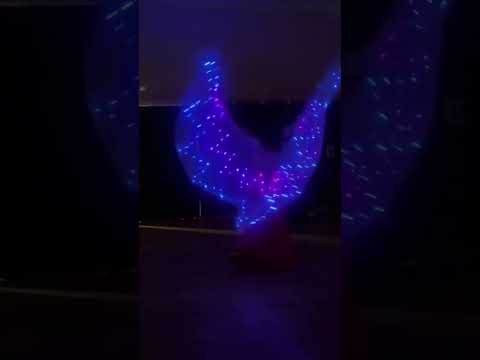 Naima bellydance #шоу_на_праздник#сергиевпосад#bellydance#dance