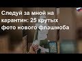 Следуй за мной на карантин: 25 крутых фото нового флэшмоба