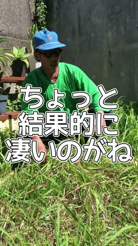 重曹の方はどうなってる？前編　#ミスター農　#クエン酸　#重曹　#除草　#草刈り　#ガーデニング　#庭