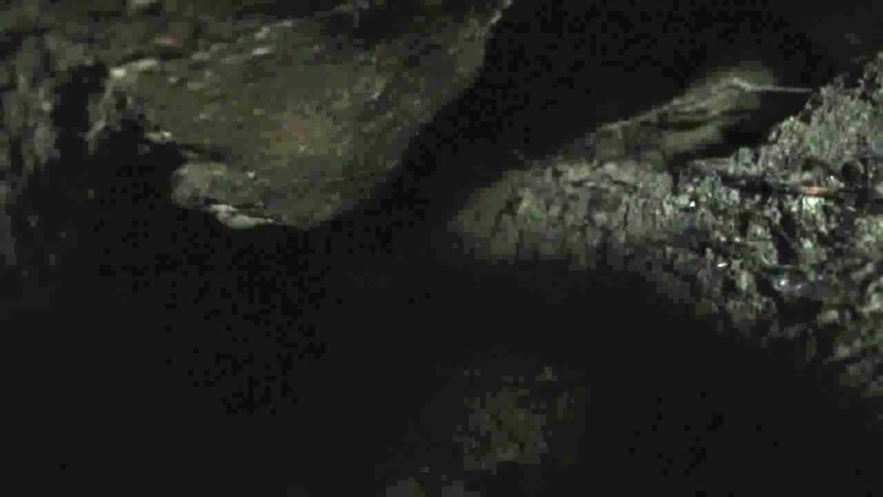 A-82 Osiñako lezia (3)