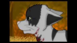 Graypaws Little House