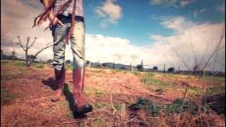 QUARTIERE COFFEE - Italian Reggae Familia - ( videoclip HQ)