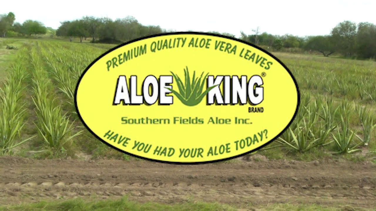 aloe vera bio ursaft erfahrungen Aloe Vera Gold Bio Trinkgel Natur