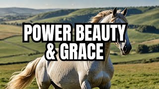 Horses | A Relaxing Meditation for Happiness & Joy