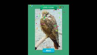 Unwind Your Mind with Jigsolitaire Levels 61-62-63-64-65-66-67-68-69-70