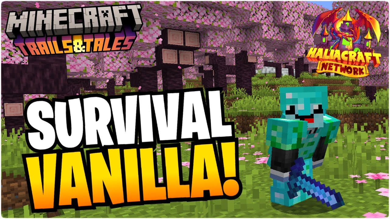 🔔 Nuevo SERVIDOR SURVIVAL VANILLA para Minecraft JAVA/BEDROCK/PE 1.20 ...