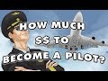 How Much Does It Cost To Become A Pilot | PPGS