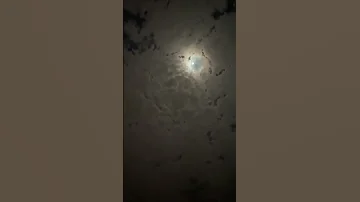 احب الليل والسهره 
