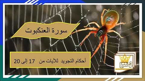 سورة العنكبوت : شرح لأحكام التجويد للآيات من 17 إلى 20