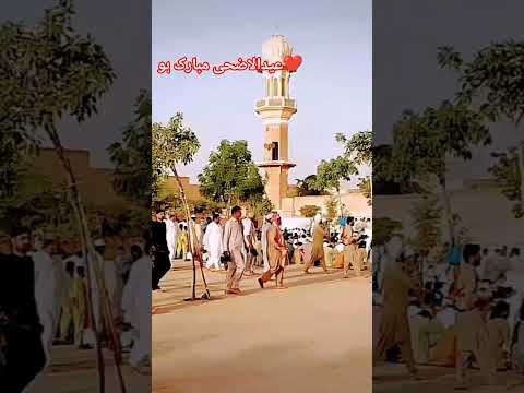 Eid UL Adhan 2026 #shortvideo