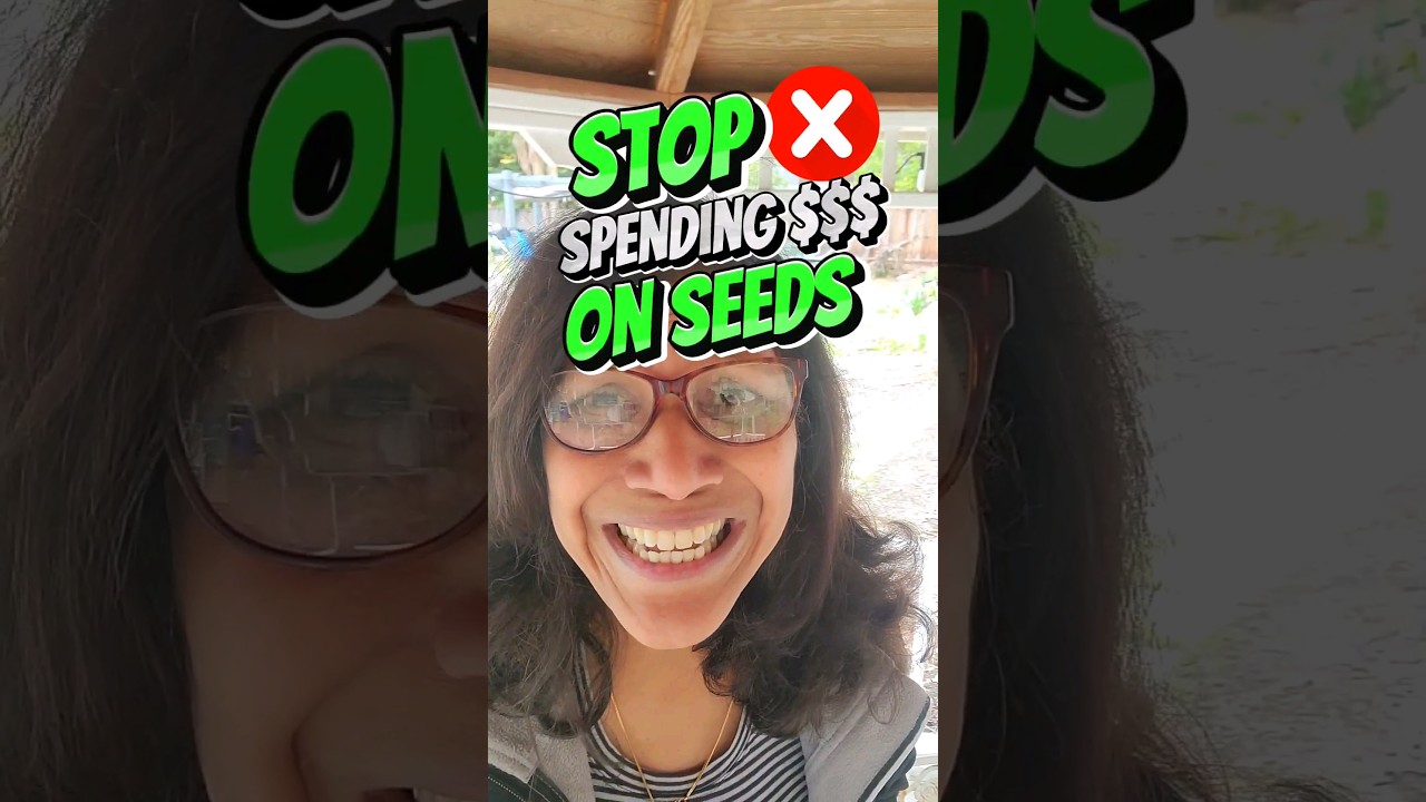 HOW TO GET FREE SEEDS!!!