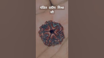 रुद्राक्ष को सिद्ध करने का तरीका पंडित प्रदीप मिश्रा जी ने बताया