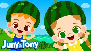 Down by the Bay | Where the Watermelons Grow🍉 | Nursery Rhymes for Kids | Juny&Tony