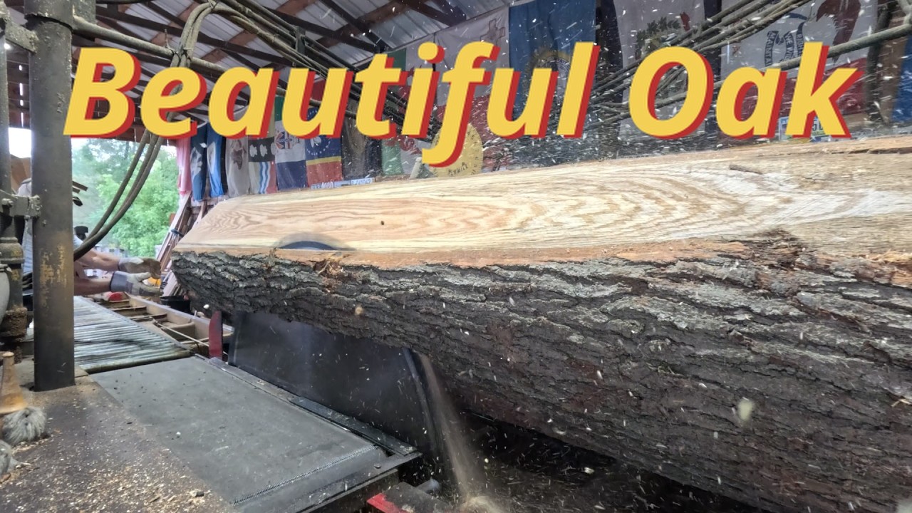 Beautiful red oak # 925