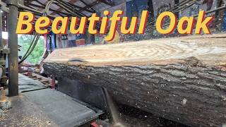 Information Beautiful red oak # 925 Update