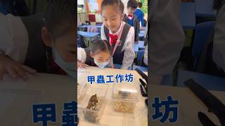 Publication Date: 2025-12-09 | Video Title: 甲蟲工作坊 | 甲蟲全接觸 | 馬鞍山靈糧小學