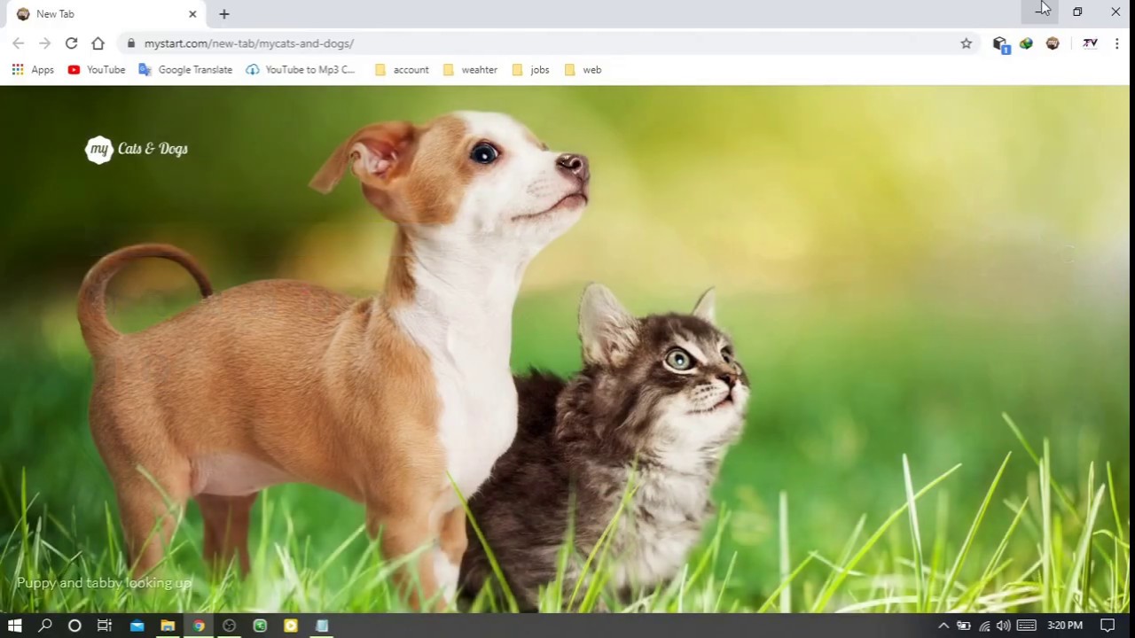 how  to change google chrome background | how to change google chrome themes