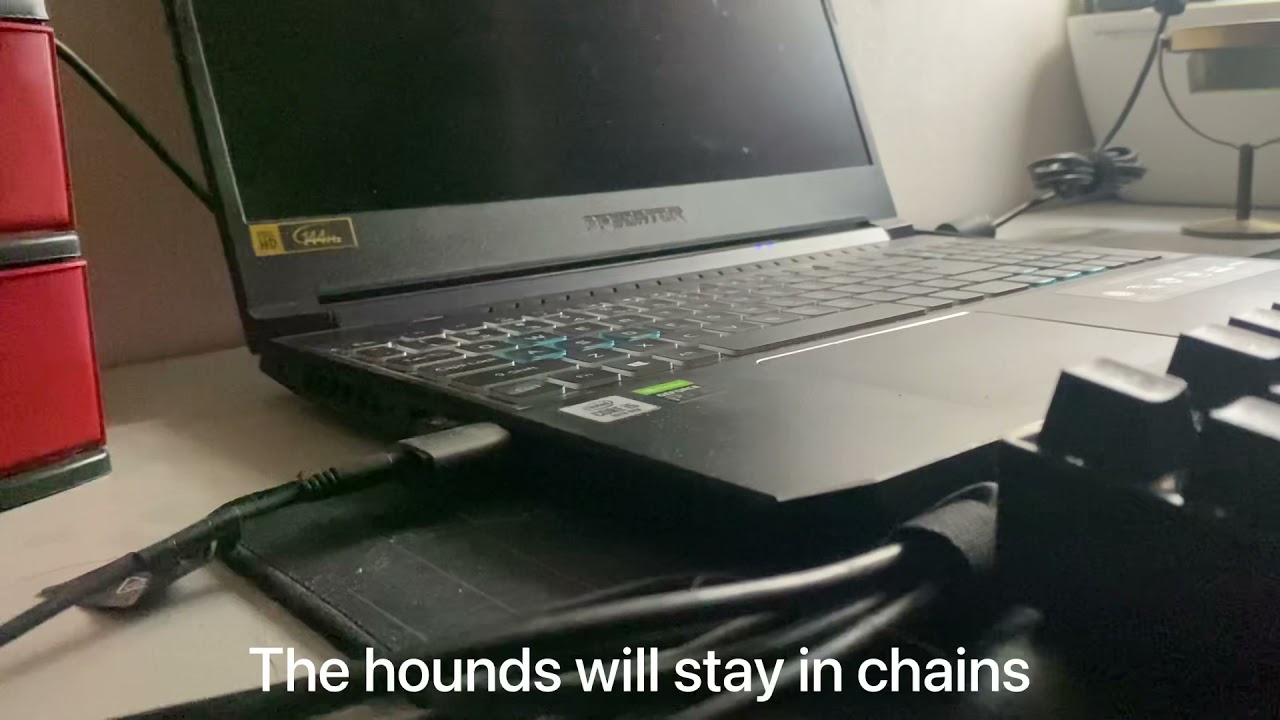 Lorde - Team MV Multimedia