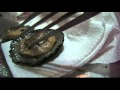Eating Lapas (Limpet clam) raw or cooked in Pico Azores