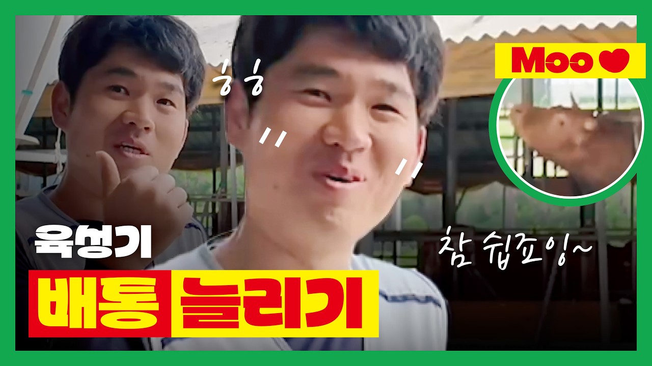 [농협사료] 볏짚 vs 양질의 조사료