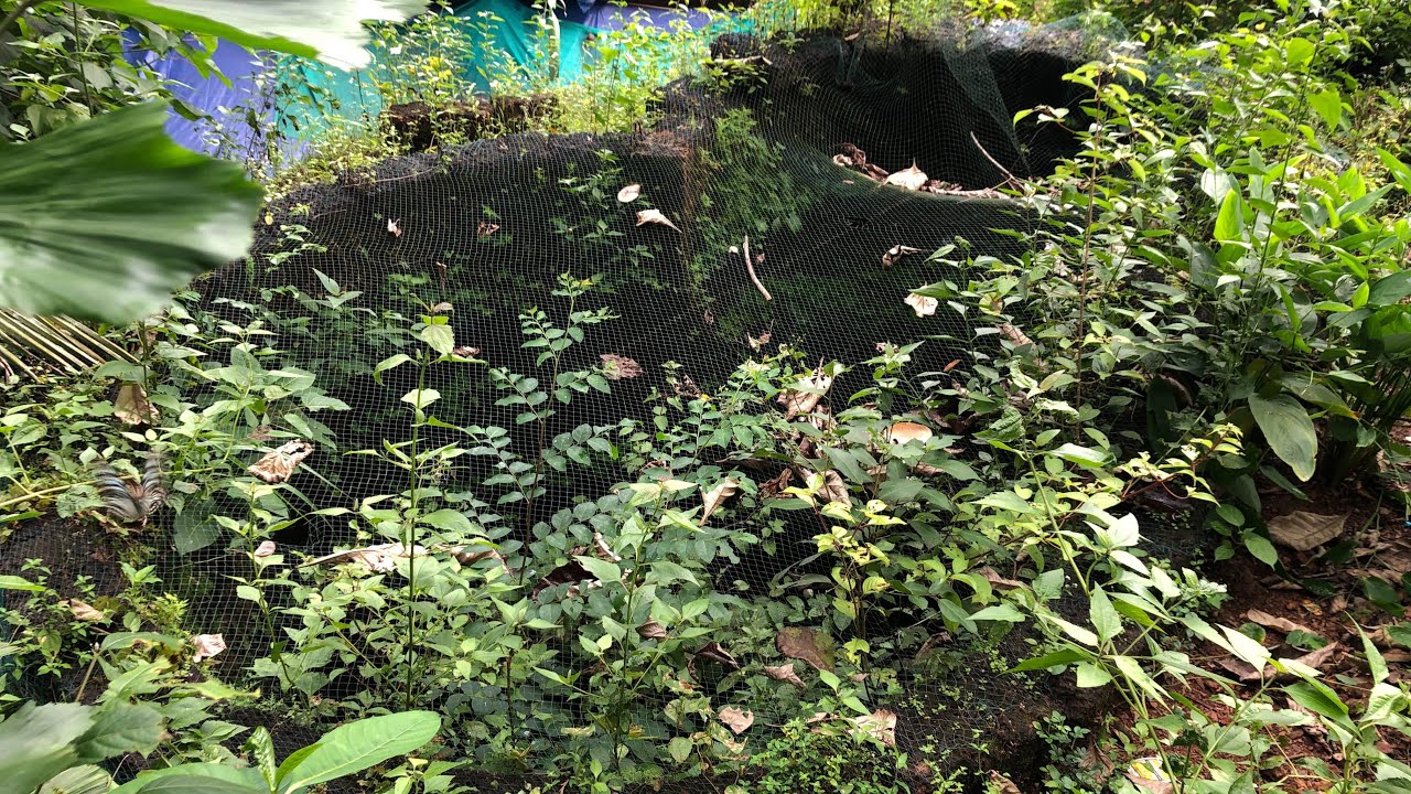 #അമ്പംകുന്ന്  ബീരാൻ വലിയുടെ വീടും ഇരട്ട കിണറും ... #Ambankunnu #Beeran Vali's house and double well