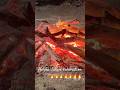 Holika dahan celebration #holikadahan #shorts #minivlog #dailyvlog