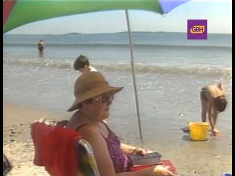 The hot summer of 1988 in Boston