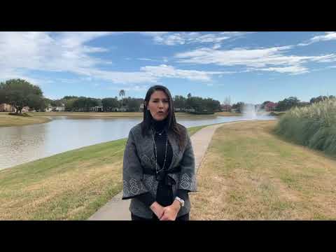 your-realtor-in-gated-community-lakes-of-parkway,-houston-subdivision