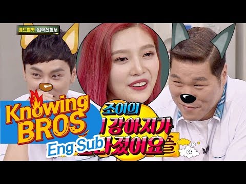 준비된 훈련견(犬)들을 위한 조이(Joy)의 강아지 훈련법! (하아♥) 아는 형님(Knowing bros) 84회