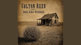 Red Dirt Soil