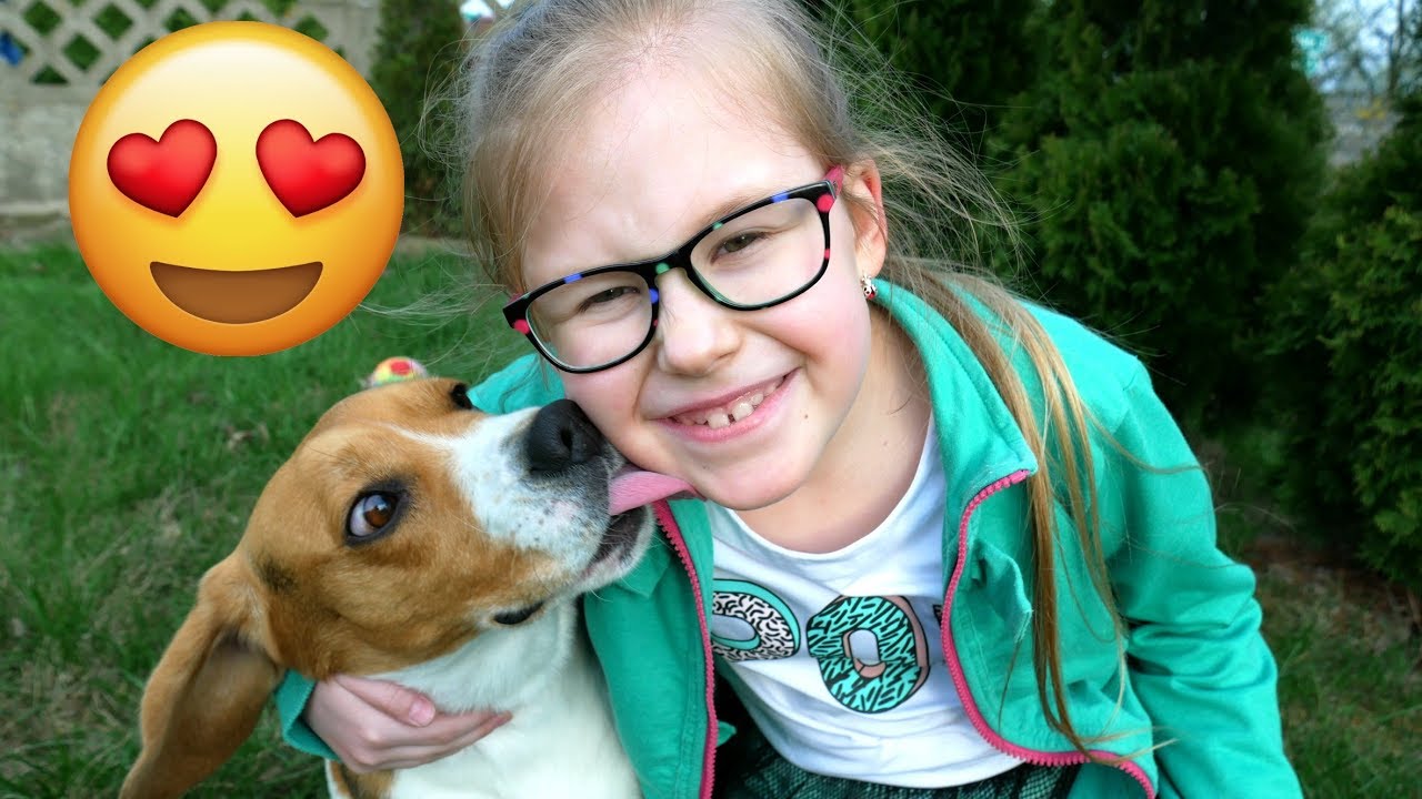 MÓJ ZWIERZĘCY PRZYJACIEL 