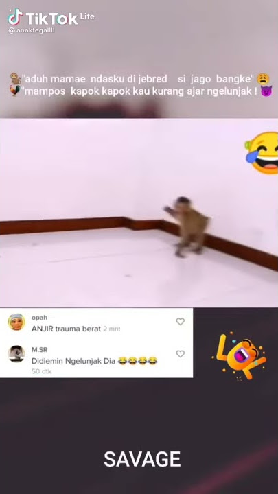 story wa lucu