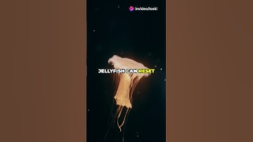 🧬 Why We Age… And Can We LIVE Forever? 😱 The Science of Immortality