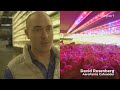 Vertical Farms | Design and Innovation | TakePart