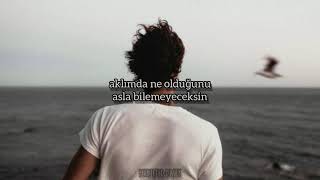 isak danielson | face my fears (türkçe çeviri)