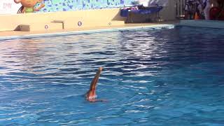 2017 CANCUN solo daniella molano natacion artistica