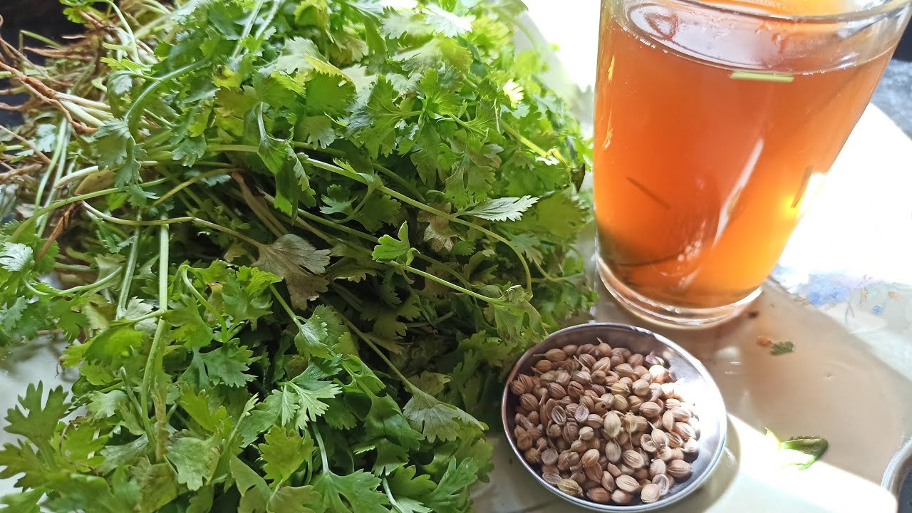 Coriander leaves kashayam కొత్తిమీర కషాయం తాటి బెల్లం తోimmunitybooster