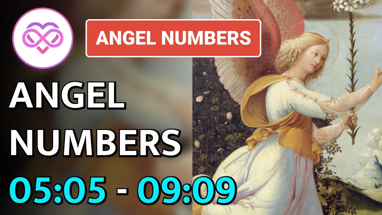 Angel Numbers 05 05 to 09 09 meaning YouTube