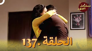 مسلسل الصِهر الحلقة 137