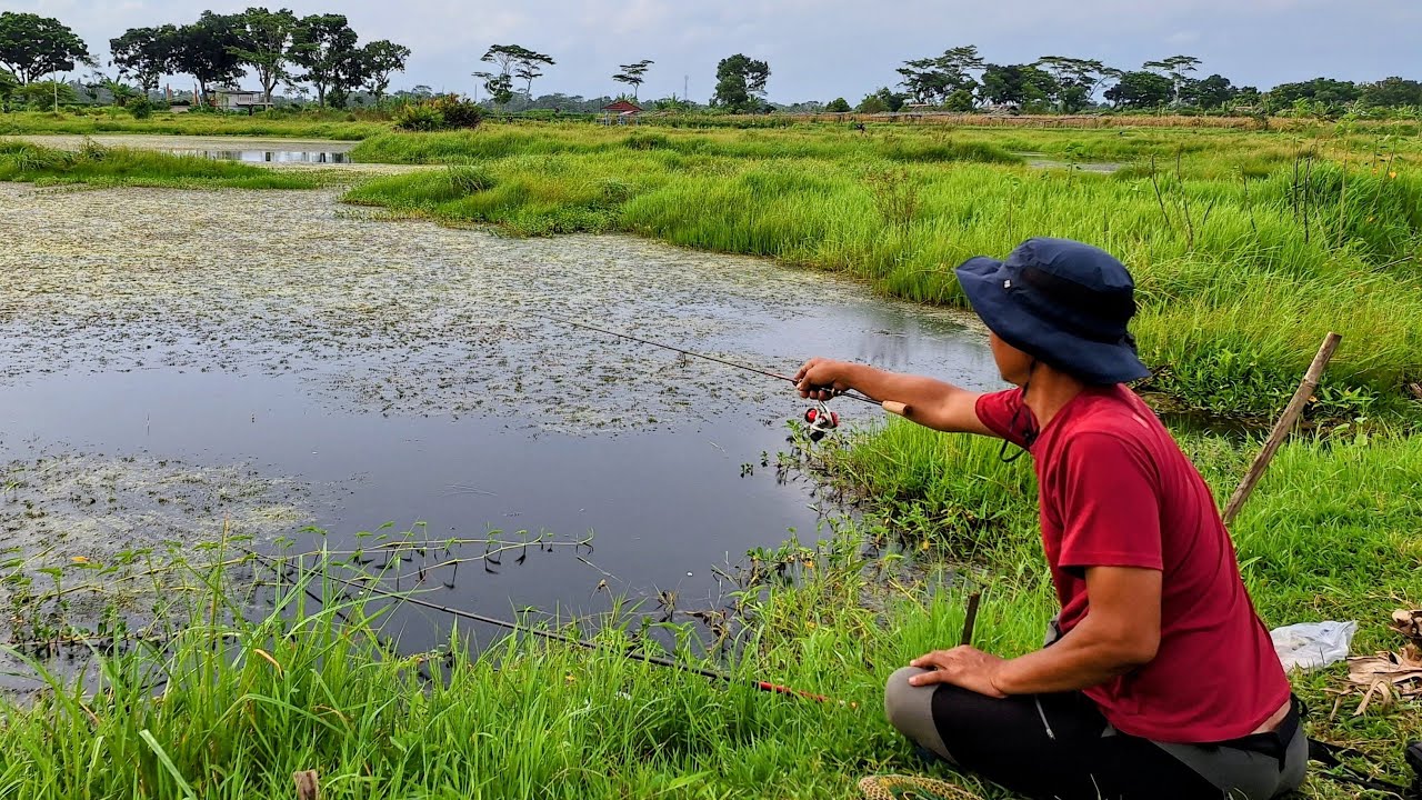 Live Mancing di Rawa - YouTube